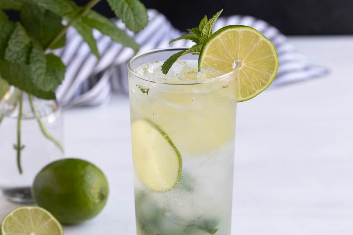 Front closeup view of a non-alcoholic mojito garnished with lime and a mint sprig.