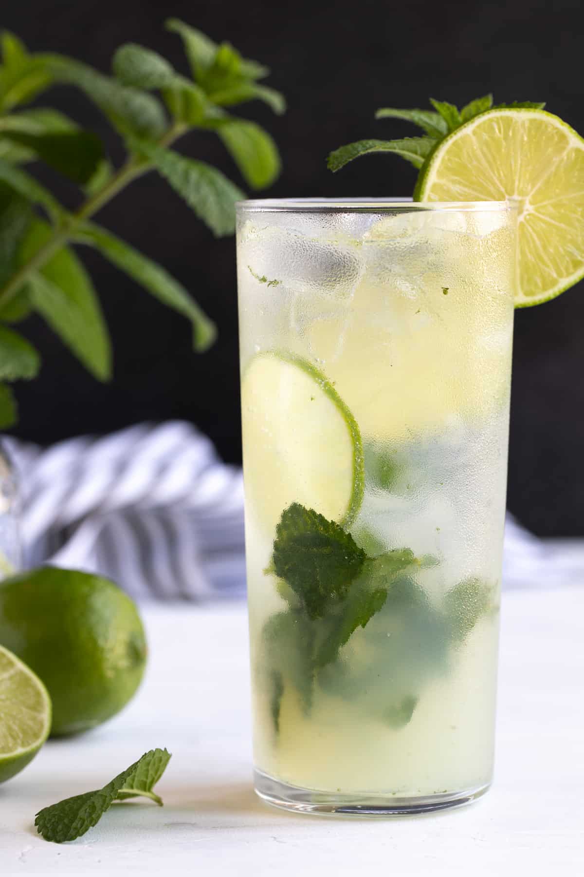 Front view of a non-alcoholic mojito garnished with lime and fresh mint.  